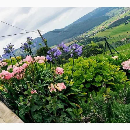 Casa de Campo La Casa Del Acebal Solorzano