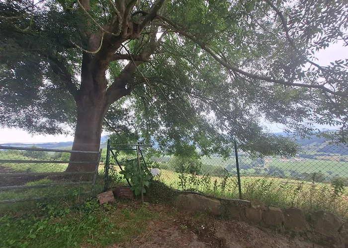 Casa rural La Casa Del Acebal