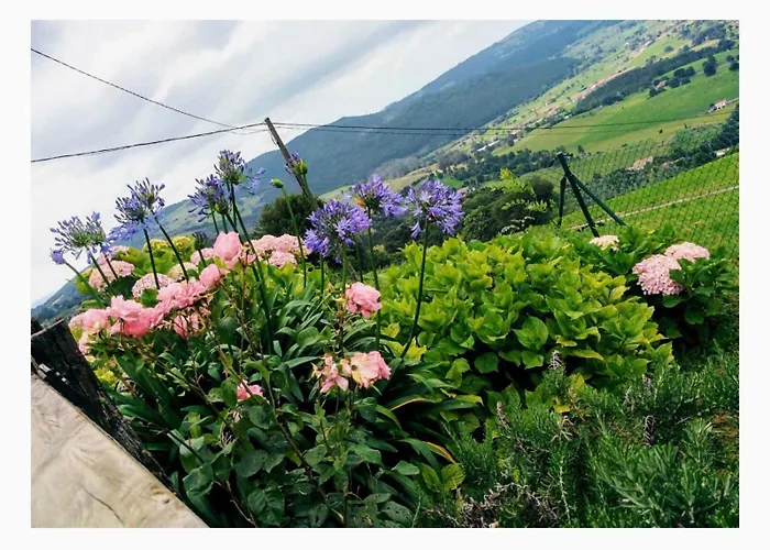 Casa rural La Casa Del Acebal Solorzano